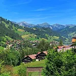 Finkenwiese - Fuer 8 Erwachsene Und 5 By Interhome * Zweisimmen